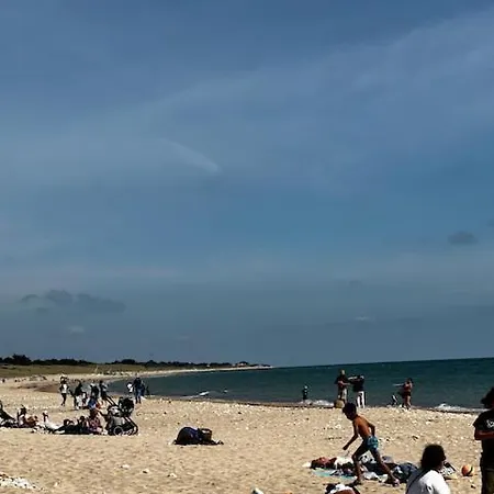 L'olivier De Milou Le Bois-Plage-en-Ré