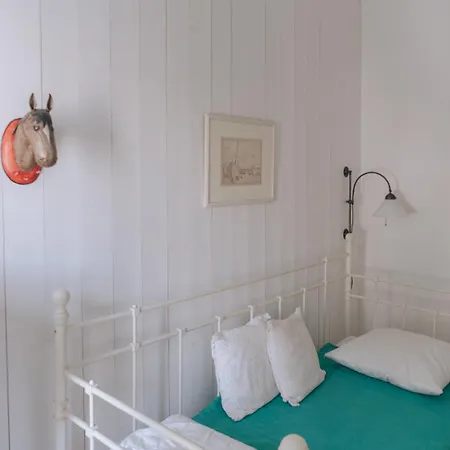 L'olivier De Milou *