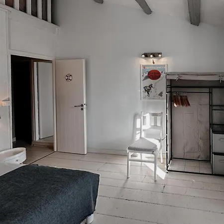 L'olivier De Milou Le Bois-Plage-en-Ré