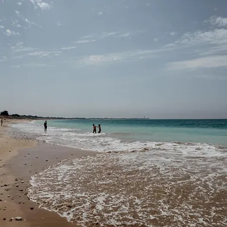 Σπίτι διακοπών L'olivier De Milou