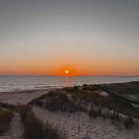 L'olivier De Milou Le Bois-Plage-en-Ré