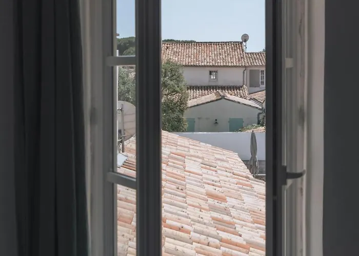 L'olivier De Milou Le Bois-Plage-en-Ré