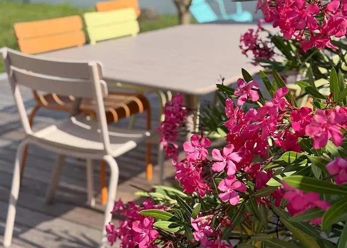 L'olivier De Milou Hébergement de vacances