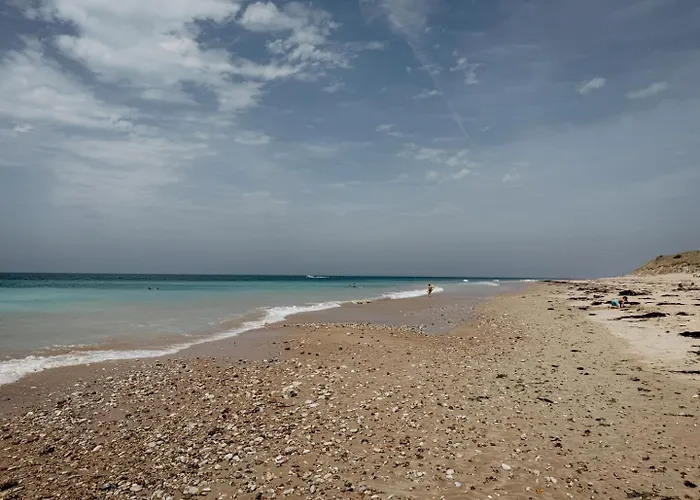 L'olivier De Milou Hébergement de vacances