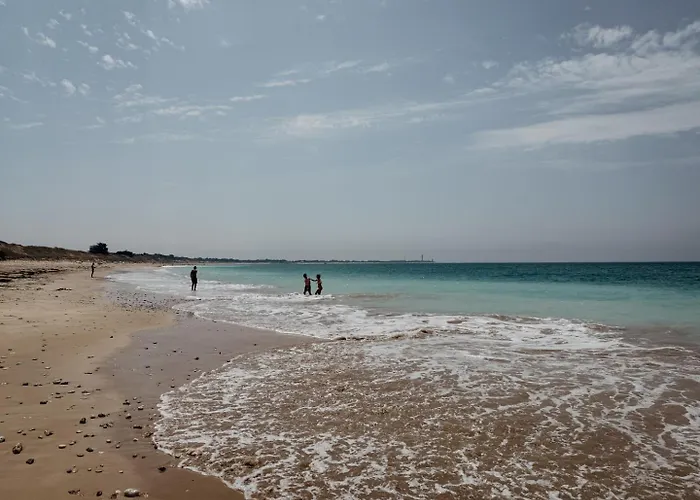 Hébergement de vacances L'olivier De Milou