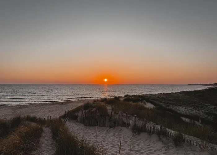 L'olivier De Milou Le Bois-Plage-en-Ré